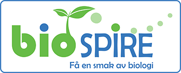 Visit biospire at biospire.w.uib.no